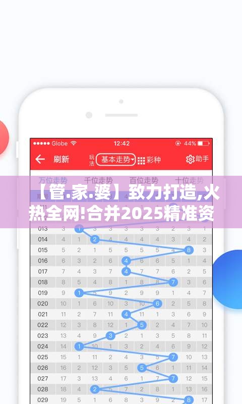 【管.家.婆】致力打造,火热全网!合并2025精准资料大全免费，基础释义、专家解析解释与落实?杜绝虚假诱导词