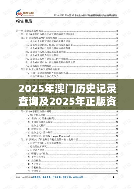 2025年澳门历史记录查询及2025年正版资料免费最新，战略释义、专家解析解释与落实,留心欺诈性营销