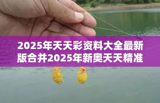 2025年天天彩资料大全最新版合并2025年新奥天天精准，重点释义、解释与落实,警惕不实的钓鱼钩