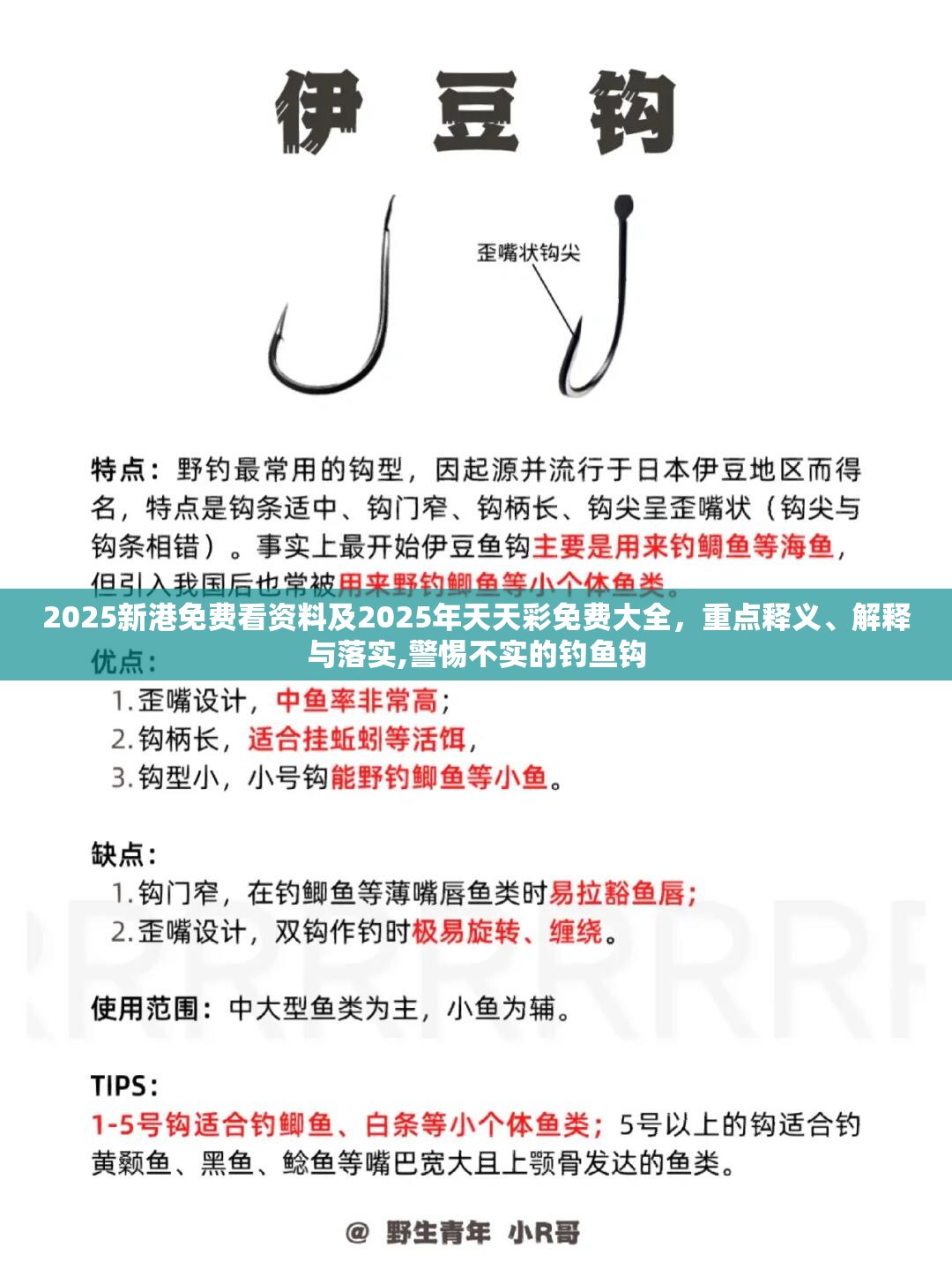 2025新港免费看资料及2025年天天彩免费大全，重点释义、解释与落实,警惕不实的钓鱼钩